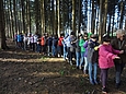 Gruppenraupe im Wald