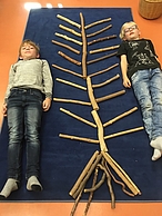 Baumprojekt11