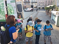 Wer findet das Elefantenhaus?